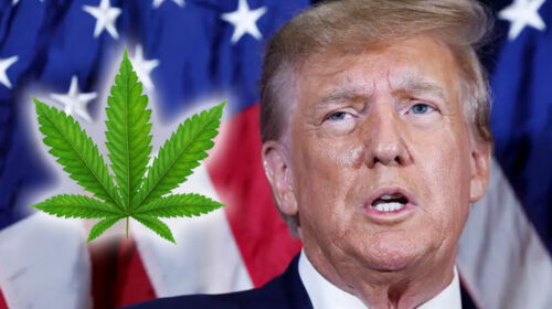 Trump-on-Marijuana-Banking