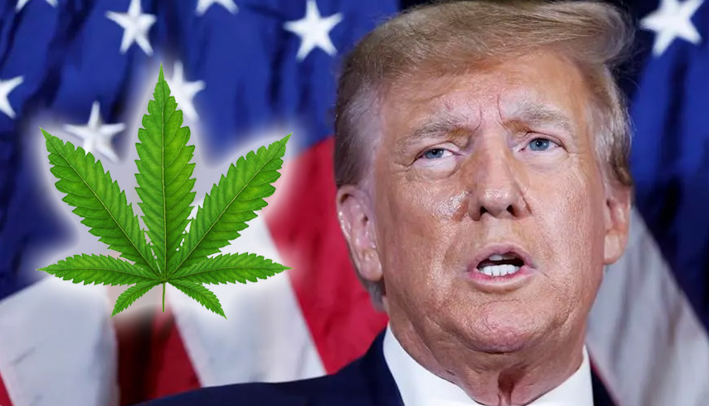 Trump-on-Marijuana-Banking